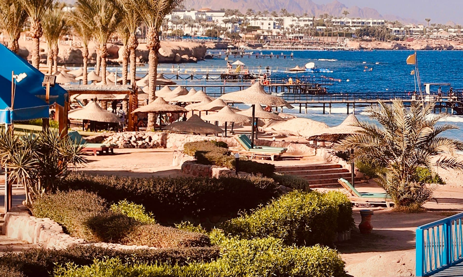 The Red Sea coast